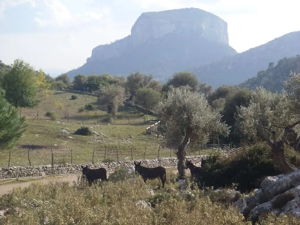 Hostal Ca'N Tiu Alaro 2*,  Spain